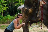 Feeding hug and touch
