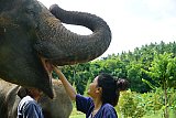 Feeding hug and touch
