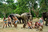 Mud Spa Program