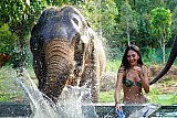 Mud Spa Program