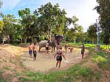 Mud Spa Program
