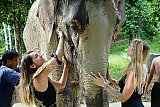 Mud Spa Program