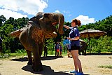 Mud Spa Program