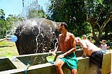 Feed and shower