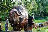 Feed and shower