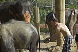 Mud Spa