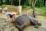 Mud Spa
